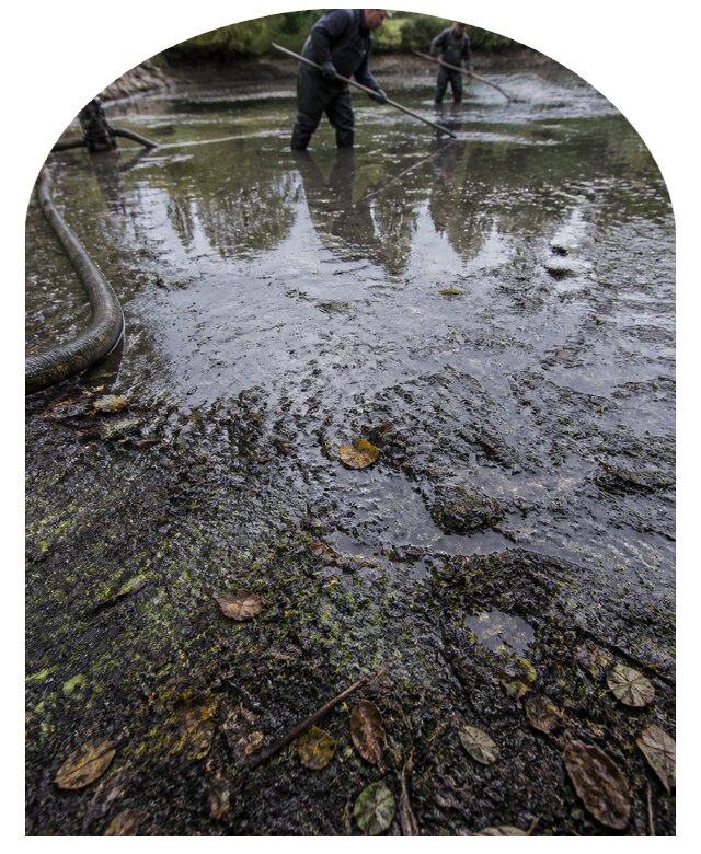 Очистка пруда в Черногорске от ила мусора и водорослей с вывозом